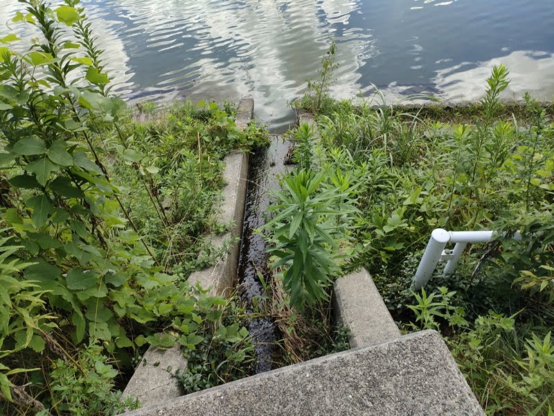 青野ダムバス釣りポイント
