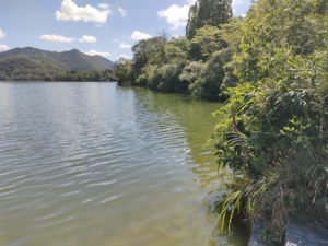 青野ダムバス釣りポイント