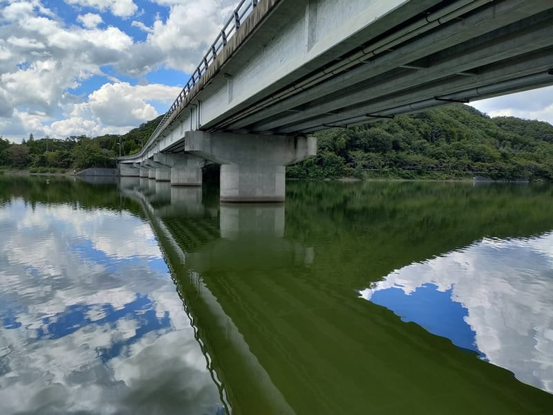 青野ダムバス釣りポイント