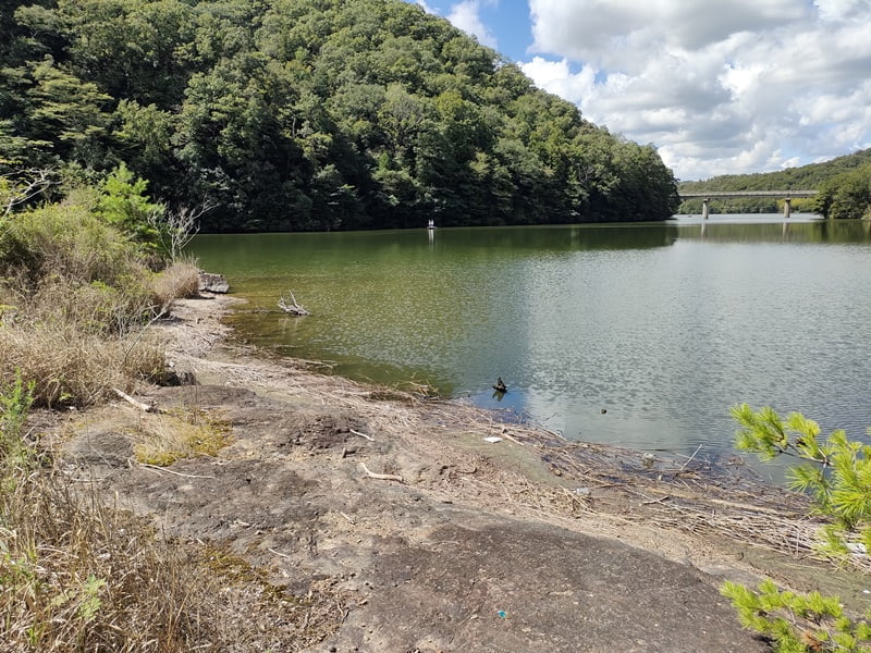 青野ダムバス釣りポイント