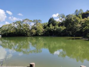 青野ダムバス釣りポイント