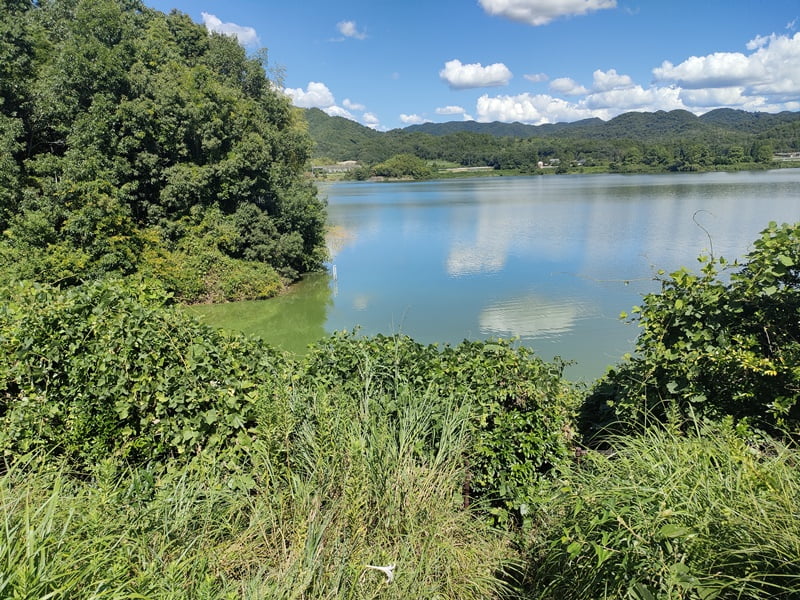 青野ダムバス釣りポイント