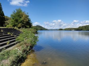 青野ダムバス釣りポイント