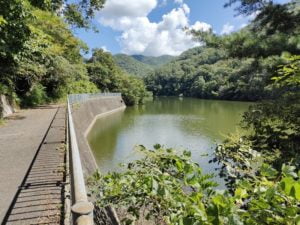青野ダムバス釣りポイント