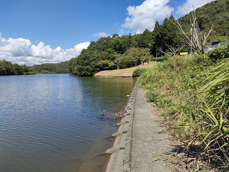 青野ダムバス釣りポイント