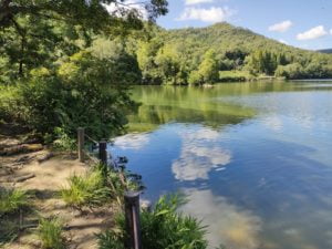 青野ダムバス釣りポイント