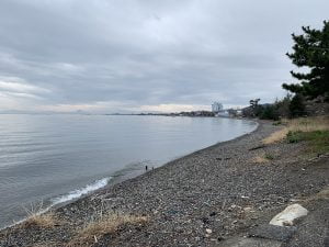 琵琶湖バス釣りポイント