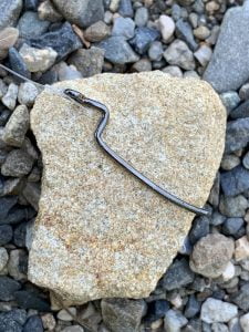 琵琶湖バス釣り