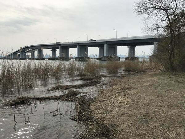 琵琶湖バス釣り