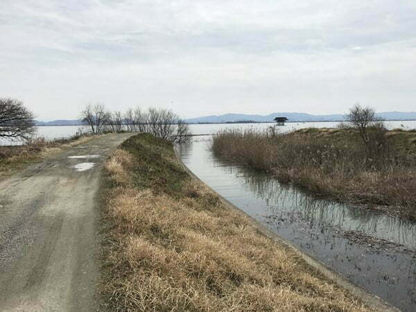 琵琶湖バス釣り