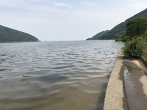 琵琶湖バス釣り