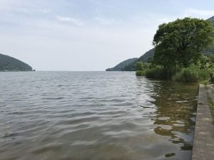 琵琶湖バス釣り