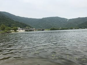 琵琶湖バス釣り