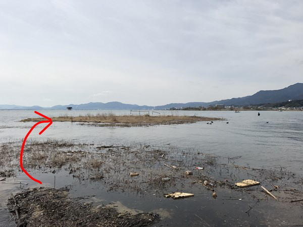 琵琶湖バス釣り