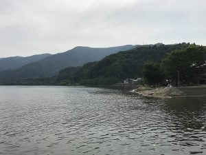 琵琶湖バス釣り