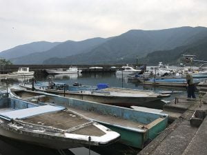 琵琶湖バス釣り