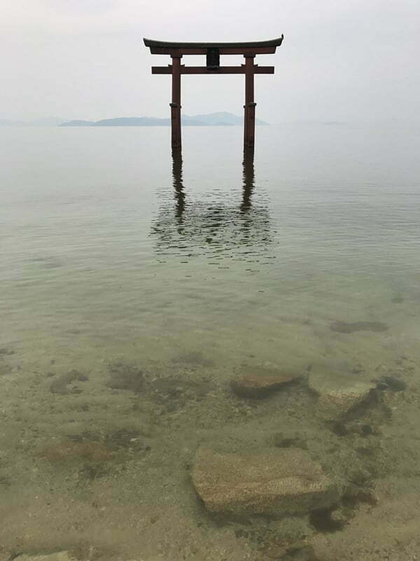 琵琶湖バス釣り