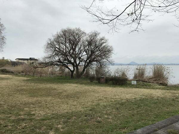 琵琶湖バス釣り