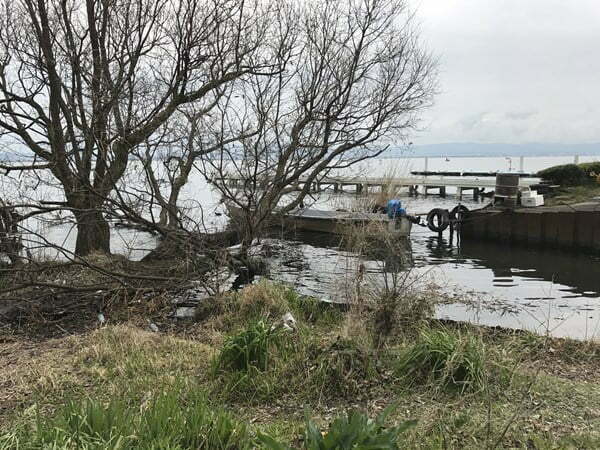 琵琶湖バス釣り
