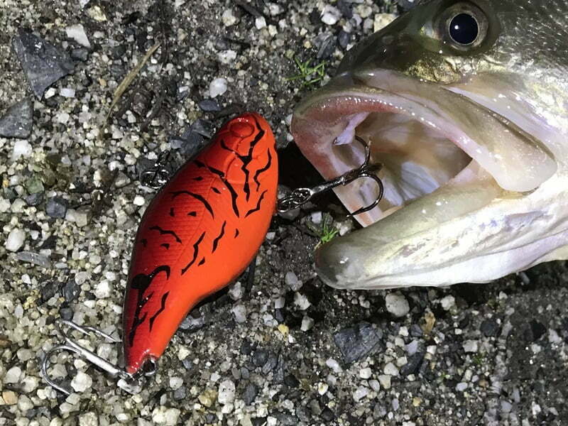 バイブレーション