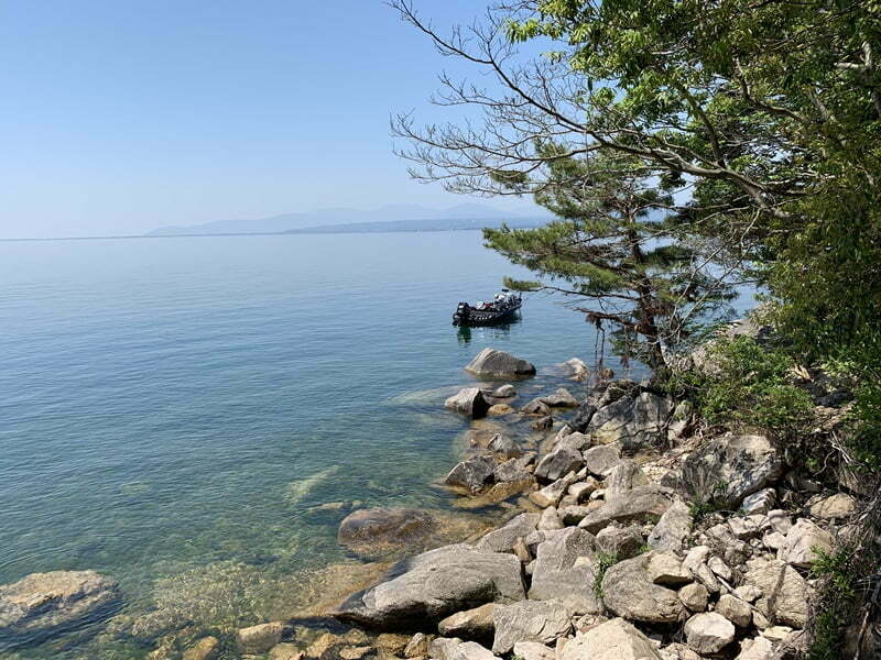 琵琶湖バス釣り