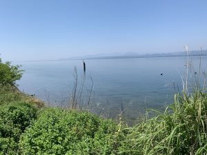 琵琶湖バス釣り