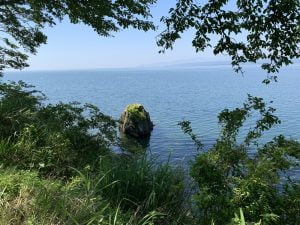 琵琶湖バス釣り