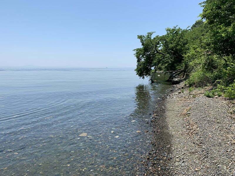 琵琶湖バス釣り