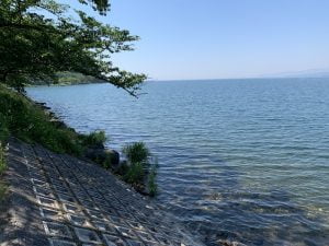 琵琶湖バス釣り