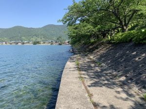 琵琶湖バス釣り