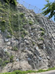 琵琶湖バス釣り
