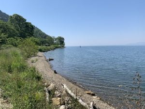 琵琶湖バス釣り