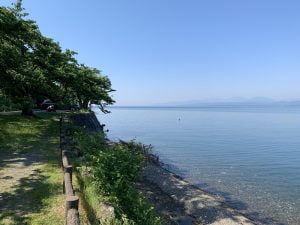 琵琶湖バス釣り