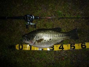 琵琶湖バス釣り