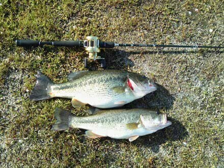 琵琶湖バス釣り