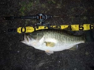 琵琶湖バス釣り