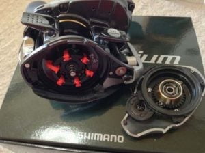 琵琶湖バス釣り