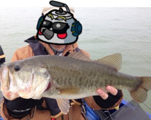 琵琶湖バス釣り