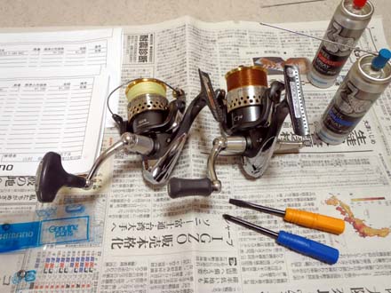 09 レアニウムCI4ベアリング交換