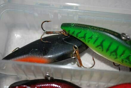 琵琶湖バス釣り