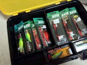 琵琶湖バス釣り