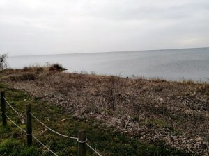 琵琶湖 湖岸緑地 田村-1