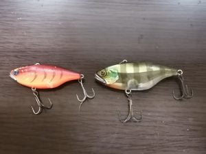 琵琶湖バス釣り