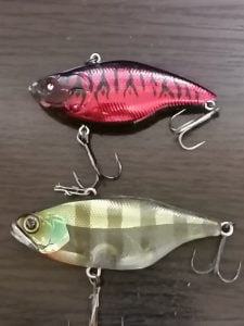 琵琶湖バス釣り