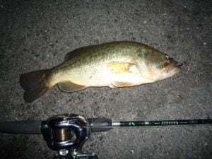 淡路島のバス釣り