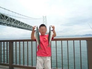 淡路のデカサバ