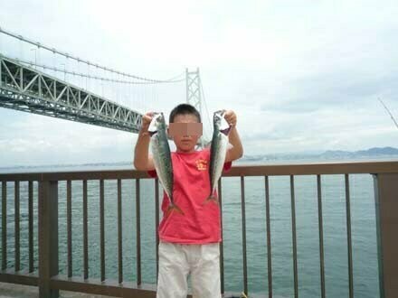 淡路のデカサバ