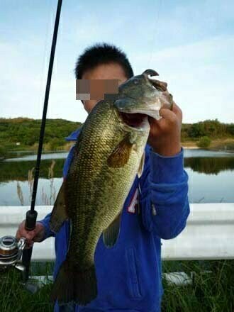 淡路島のバス釣り