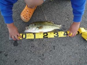 淡路島のバス釣り