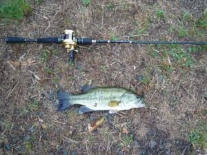 淡路島のバス釣り